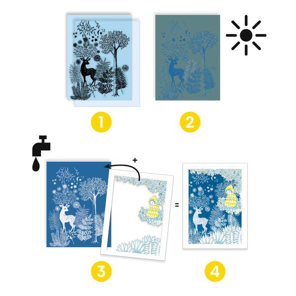 Cyanotype- Au Clair de la Lune