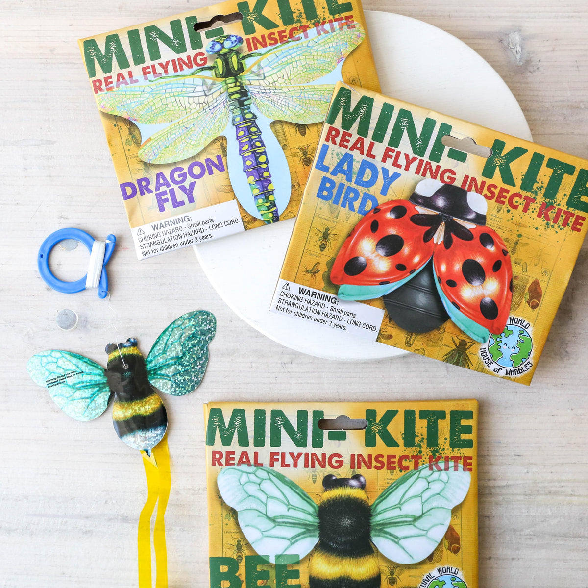 Mini Flying Insect Kites- Assorted