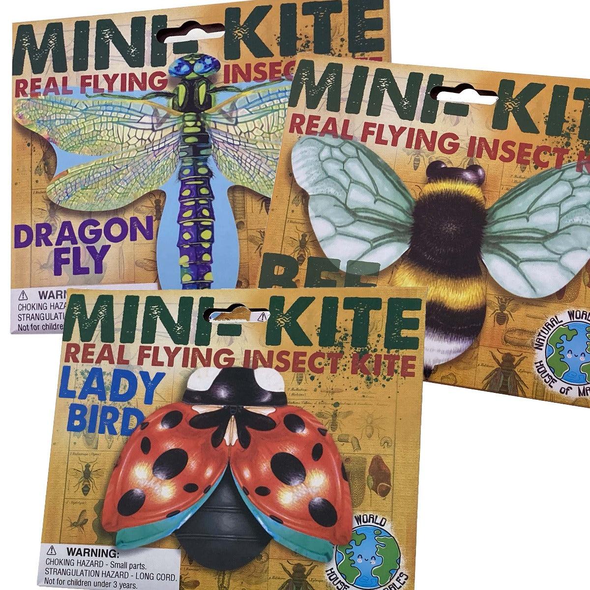 Mini Flying Insect Kites- Assorted